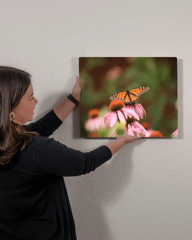 Fluttering Grace: Monarch Butterfly Amidst Wild Blooms - The Butterfly Mama