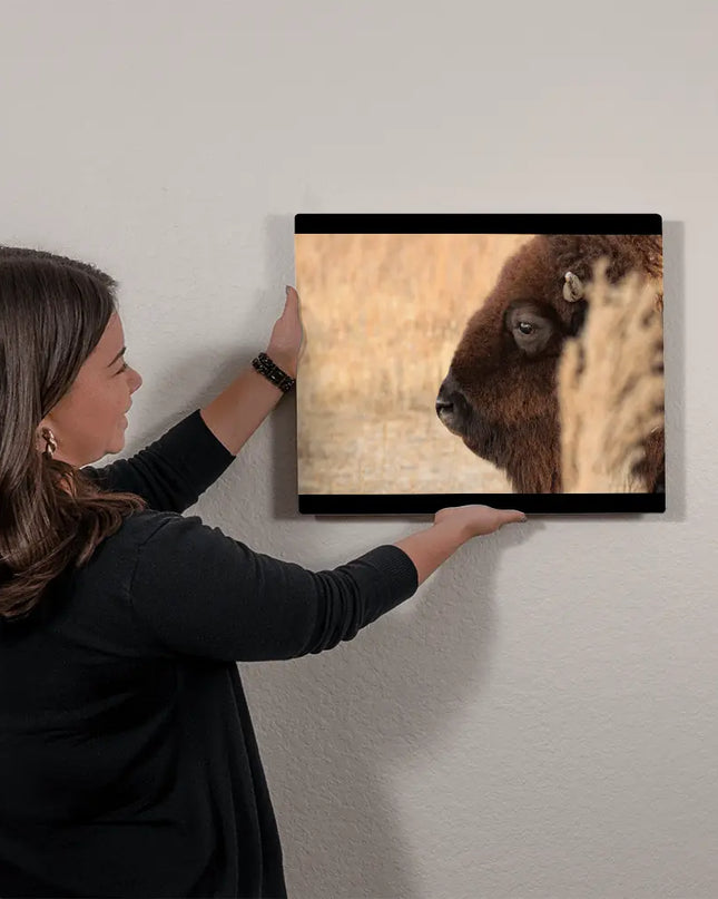 Soul of the Prairie: The Watchful Bison - The Butterfly Mama